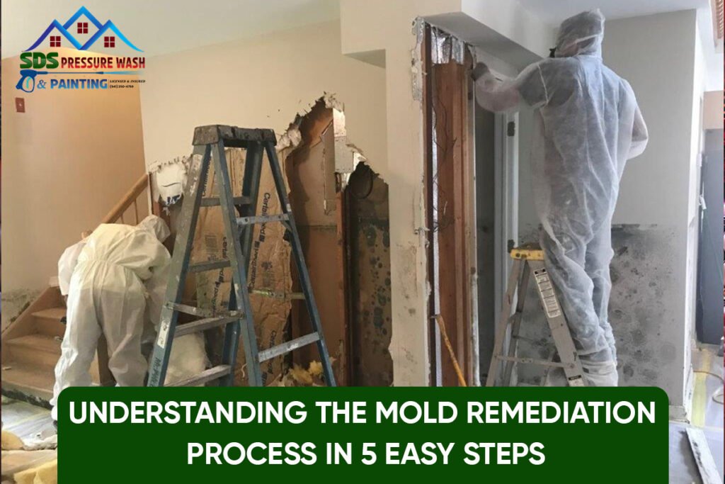 Mold Remediation Process
