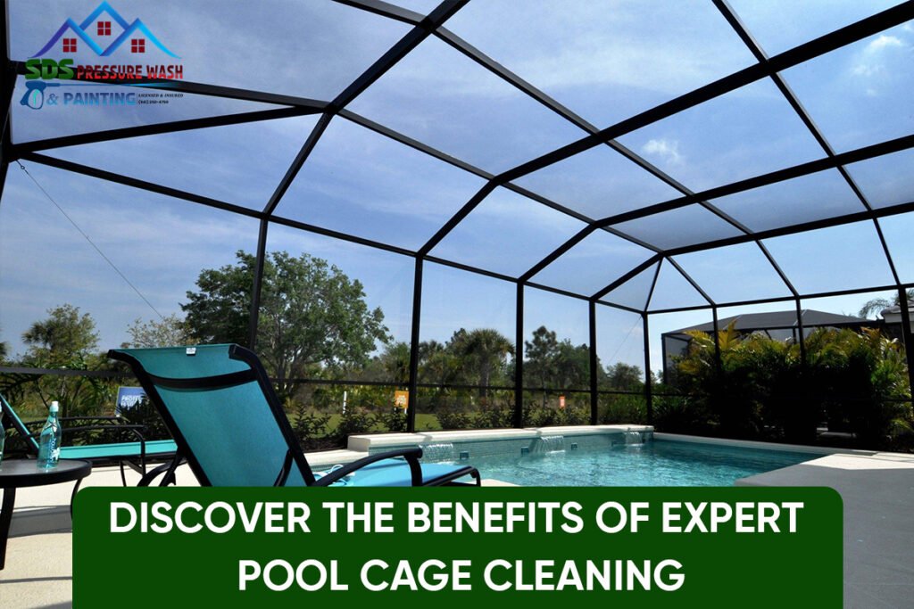 Expert Pool Cage Cleaning